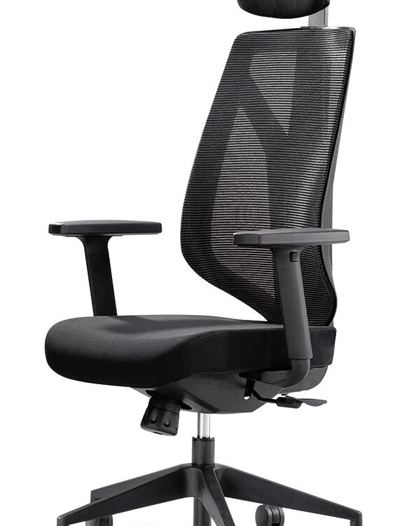 Cadeira Ergonômica Home Office 2025