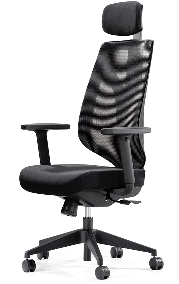 Cadeira Ergonômica Home Office 2025