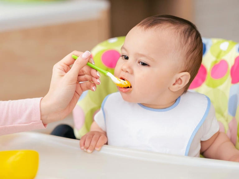 rotina alimentar bebe 1 ano e 3 meses