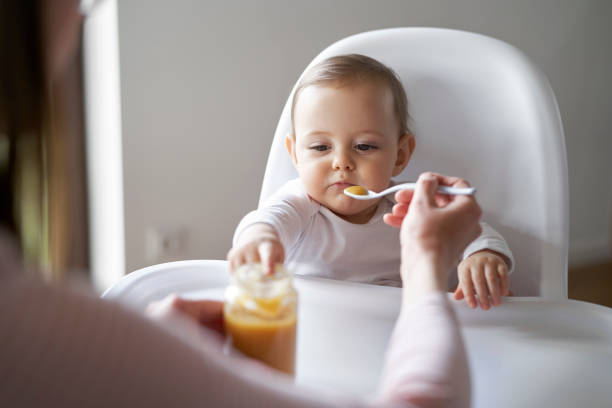 rotina alimentar bebe 1 ano e 2 meses